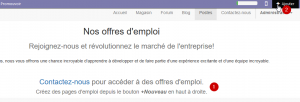 Odoo11-site6.png